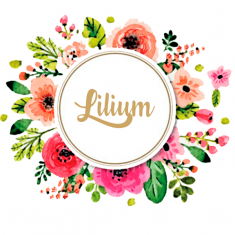 Lilium Floristeria