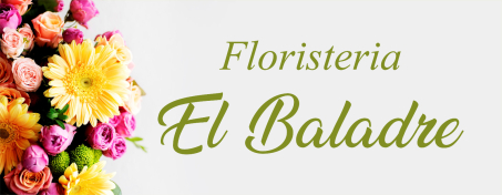 Floristeria El Baladre
