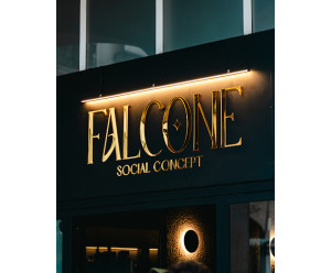 Falcone Social Concept
