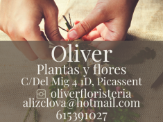 OLIVER PLANTES I FLORS