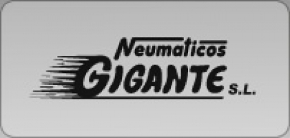 NEUMATICOS GIGANTE SL