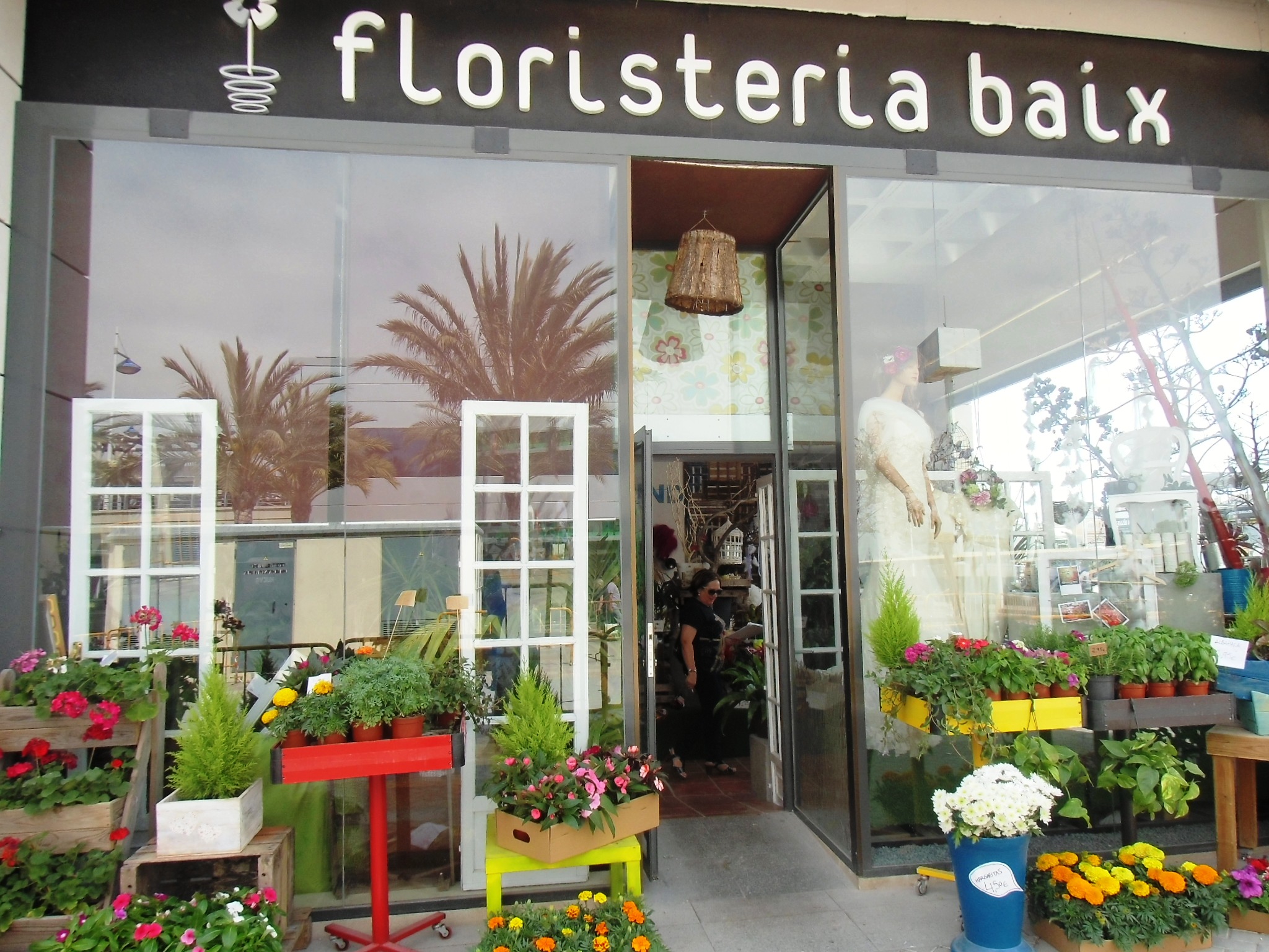 floristeria baix-Santa Pola:Ajuntament de Santa Pola::Directorio comercial  de la Comunitat Valenciana