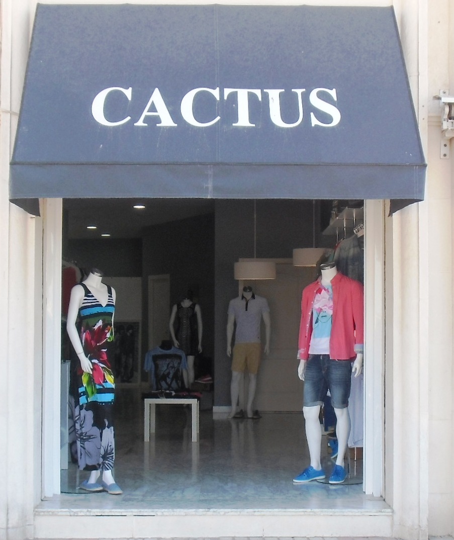 CACTUS S.L.