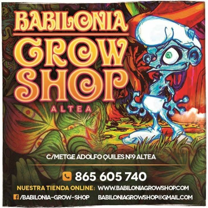 Babilonia grow shop