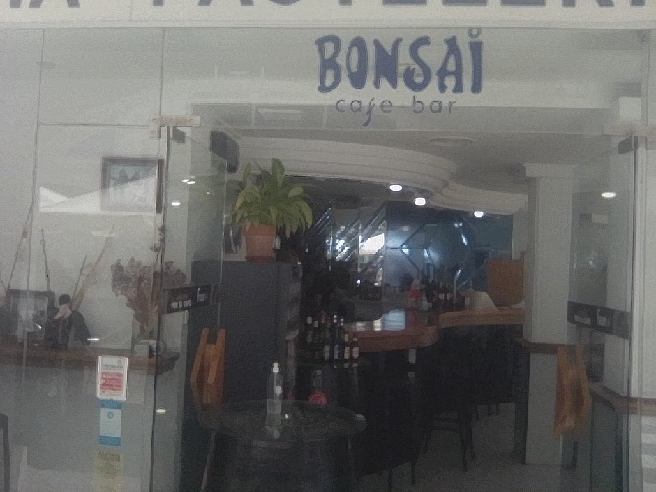 CAFETERIA BONSAI