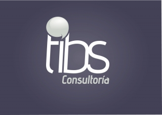 TIBS CONSULTORIA - VICENT LLUCH