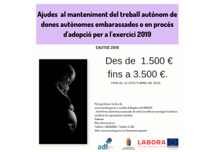 Ayudas al mantenimiento del trabajo autónomo de mujeres autónomas embarazadas o en proceso de adopción en el ejercicio 2019