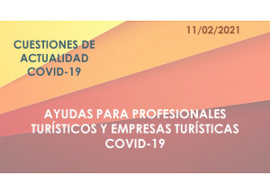 AYUDAS COVID-19 PROFESIONALES TURÍSTICOS Y EMPRESAS TURÍSTICAS
