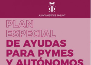 PLAN ESPECIAL DE AYUDAS PARA PYMES Y AUTONOMOS