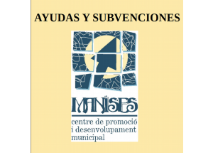SUBVENCIONES PARA LA MEJORA DE LA GESTIÓN DE LA INTERNALIZACIÓN  DE LAS PYMES DE LA CV (IVACE)