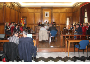  El Pleno aprueba la adhesión en el IV Pla de Salut de la Comunitat Valenciana